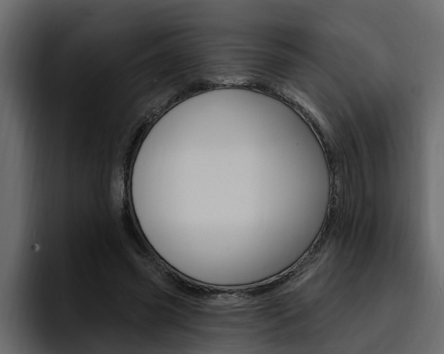 X0000095550541200712140937