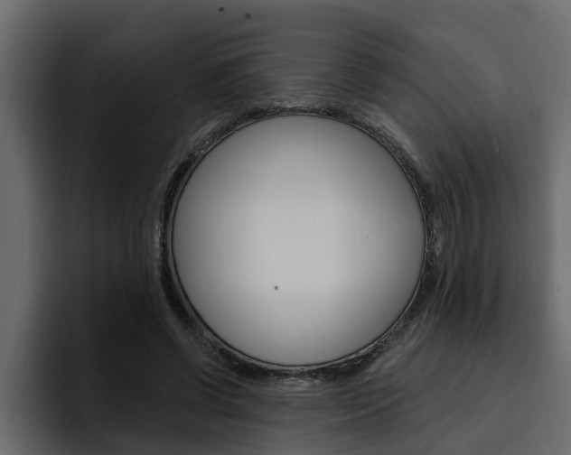 X0000095550542200712140937