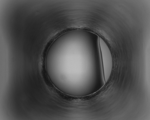 X0000095550544200712140937