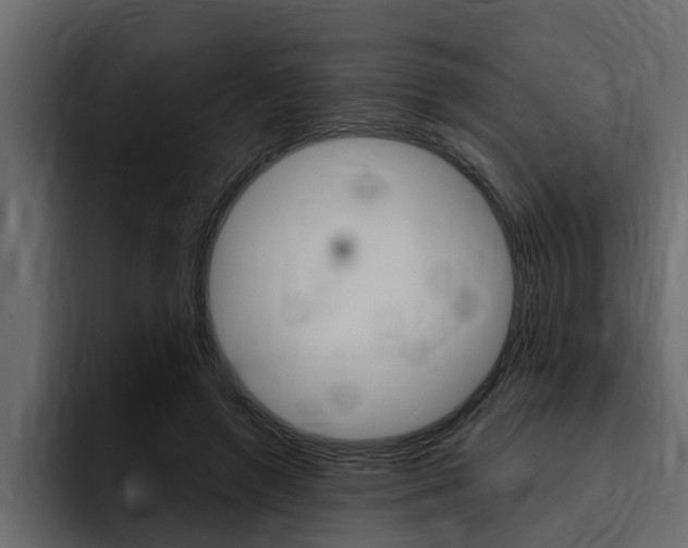 X0000095550546200712140937