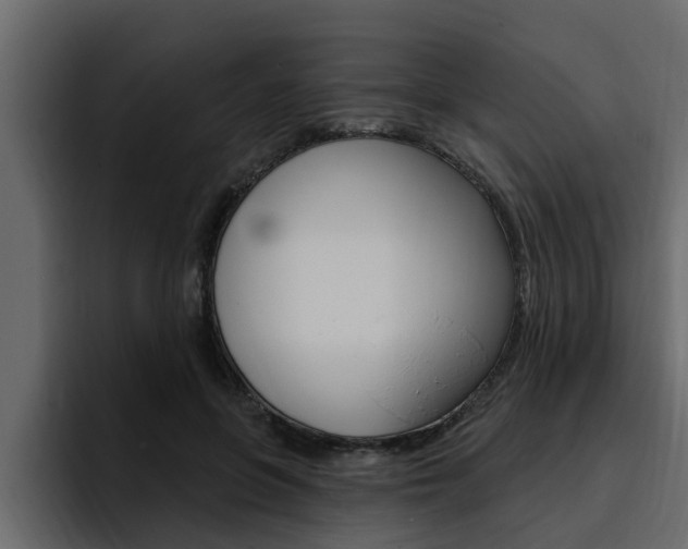 X0000095550551200712140937