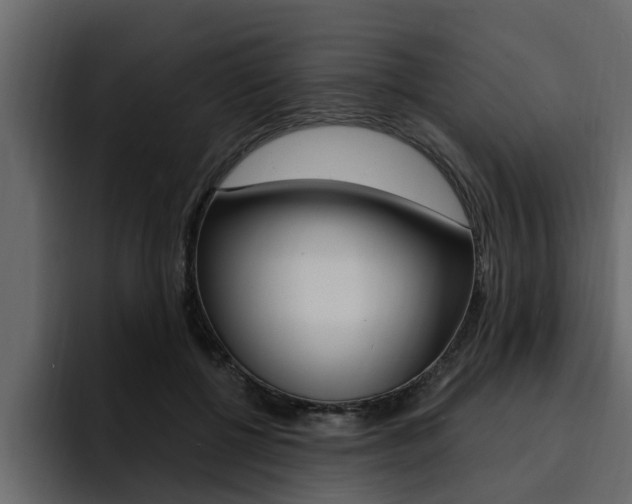 X0000095550552200712140937