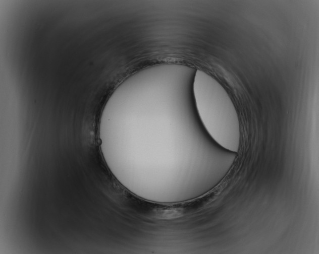 X0000095550553200712140937