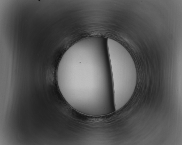 X0000095550554200712140937
