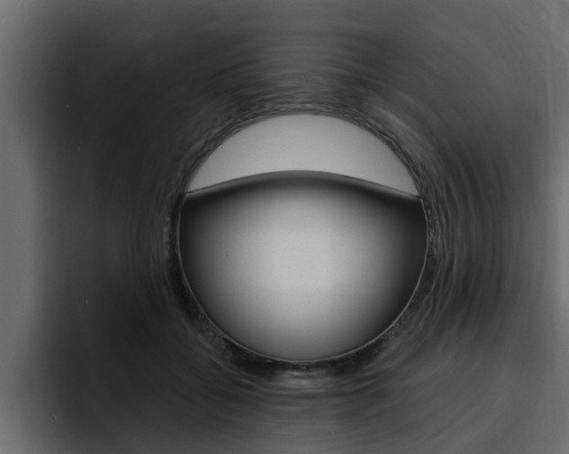 X0000095550556200712140937