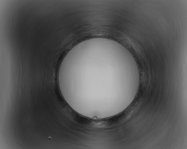 X0000095550557200712140937