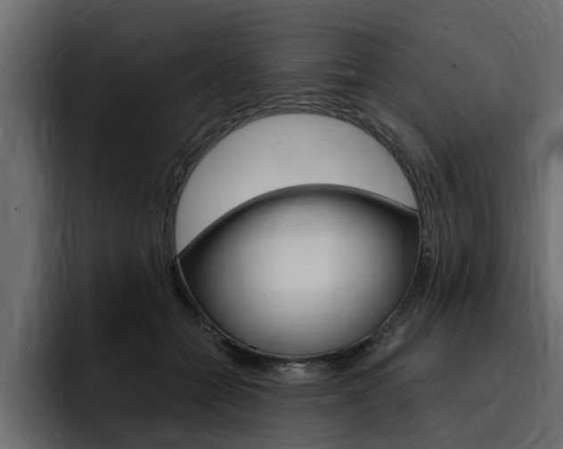 X0000095550558200712140937