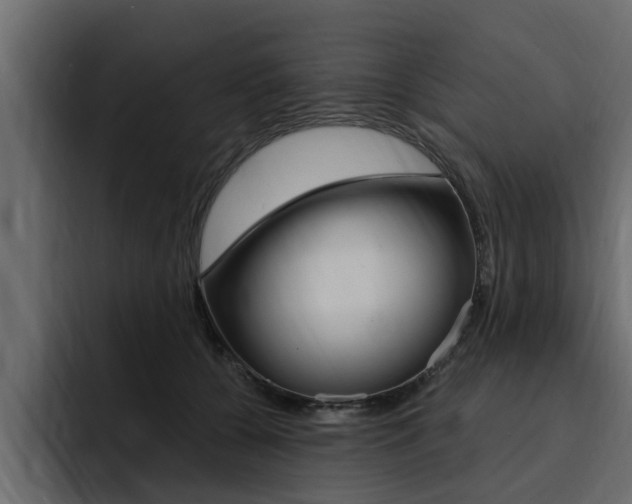 X0000095550560200712140937