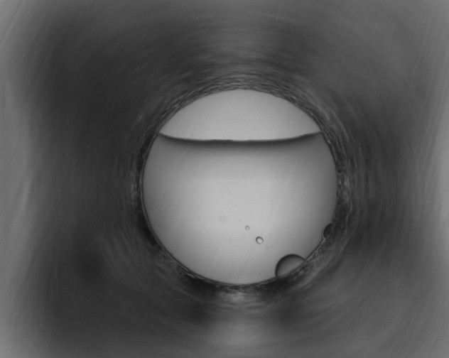 X0000095550561200712140937