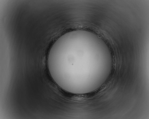 X0000095550563200712140938