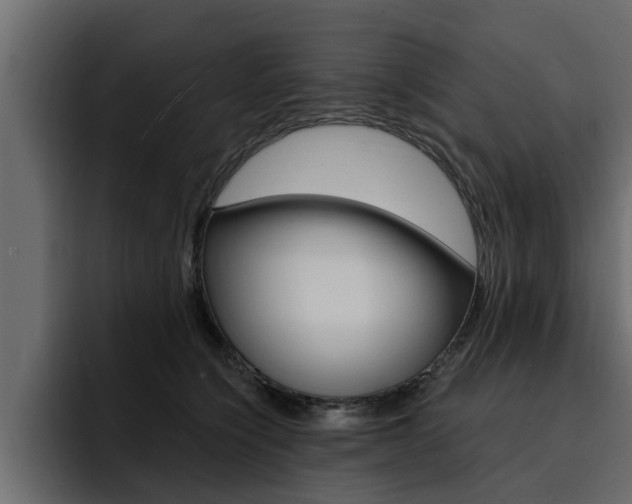 X0000095550564200712140938