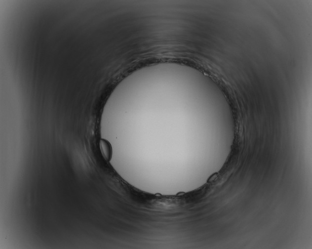 X0000095550567200712140938