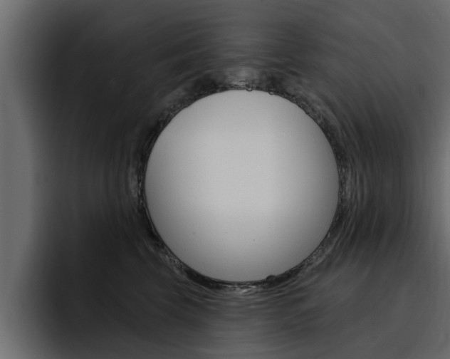 X0000095550569200712140938