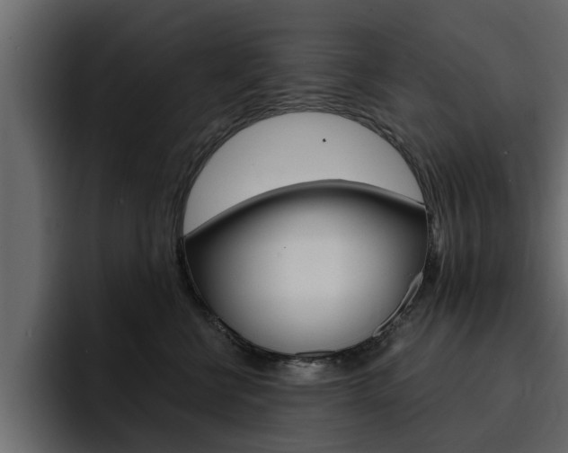 X0000095550570200712140938