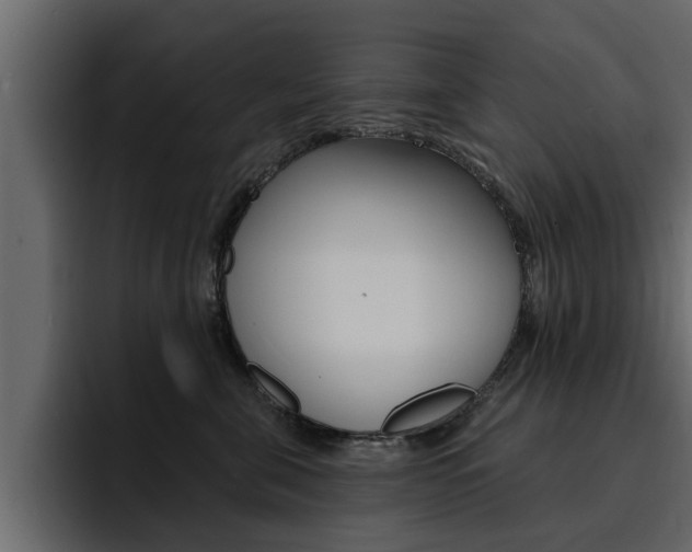 X0000095550571200712140938