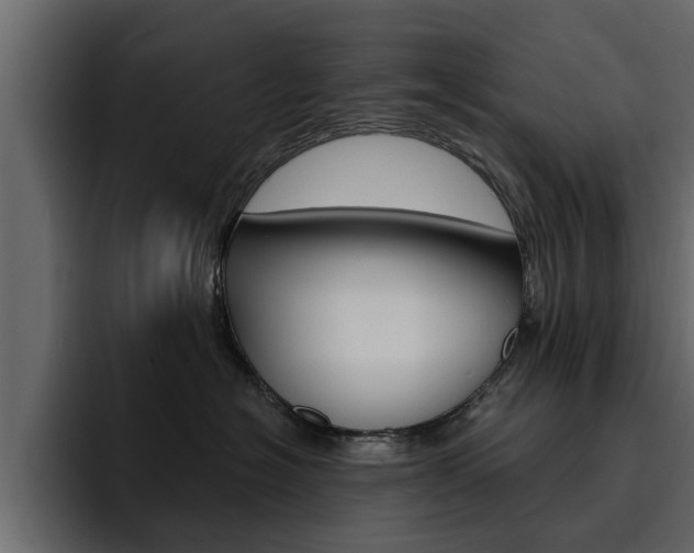 X0000095550574200712140938