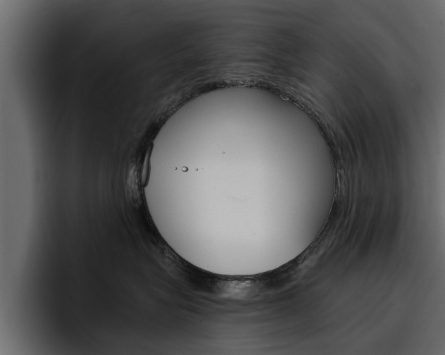 X0000095550575200712140938