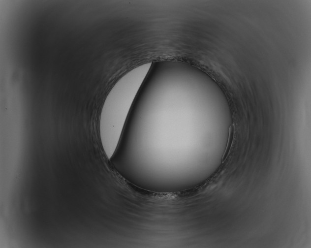 X0000095550576200712140938