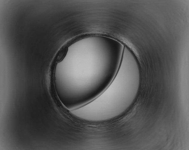 X0000095550580200712140937