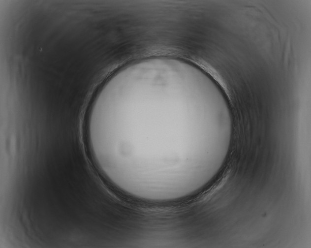 X0000095550581200712140937