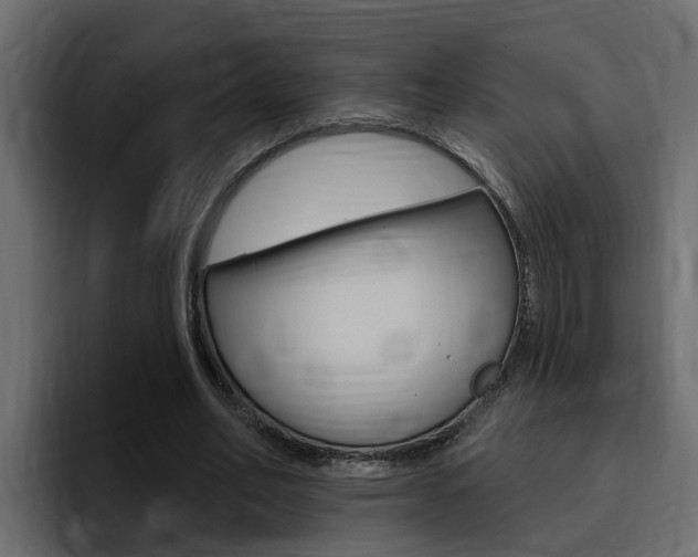 X0000095550582200712140937