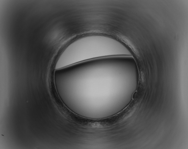 X0000095550588200712140937