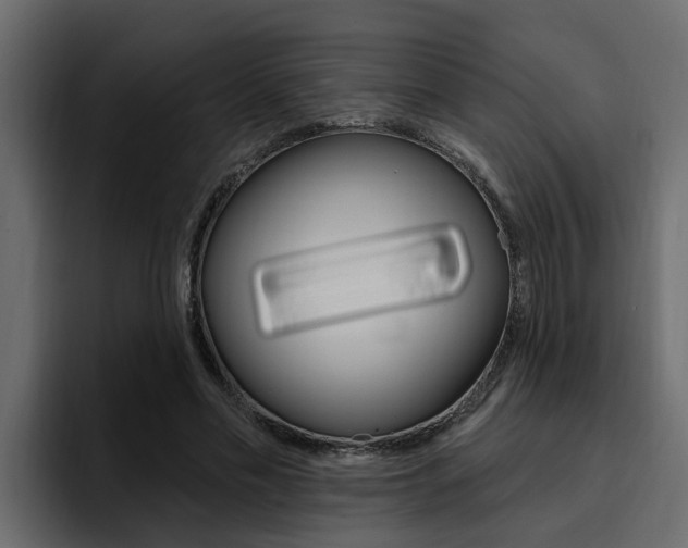 X0000095550589200712140937