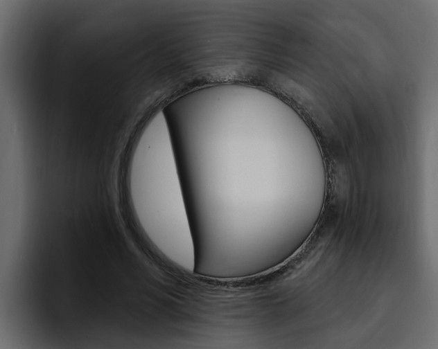 X0000095550590200712140937