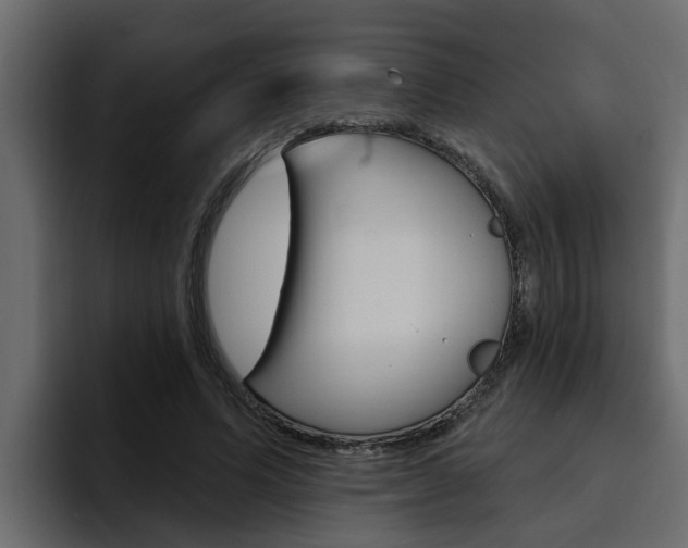 X0000095550591200712140937