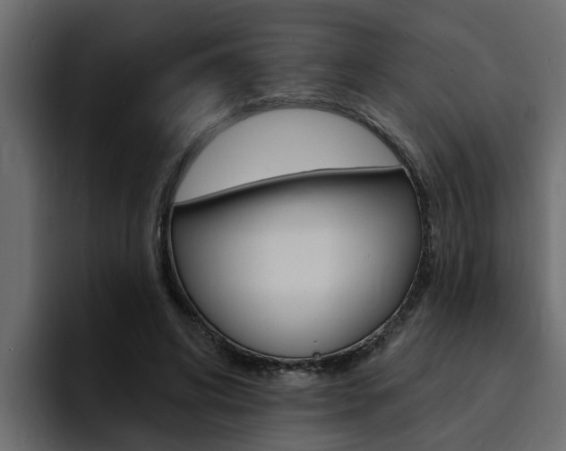 X0000095550592200712140937