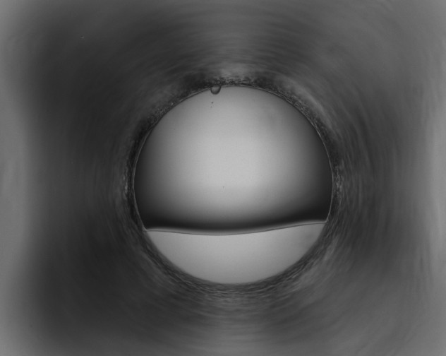 X0000095550593200712140937