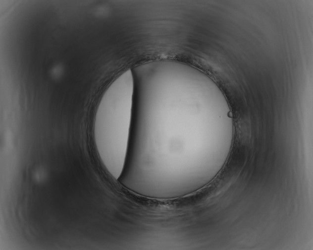 X0000095550594200712140937
