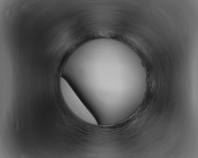 X0000095550595200712140937