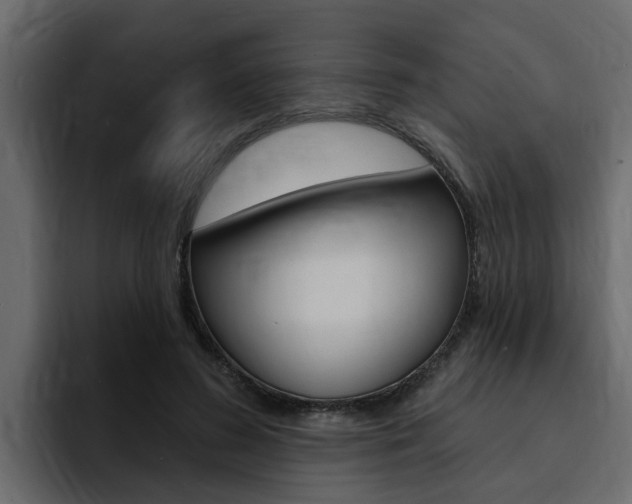 X0000095550596200712140937