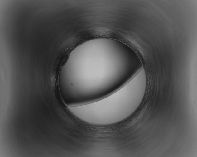 X0000095550597200712140937