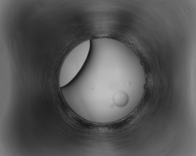 X0000095550598200712140937