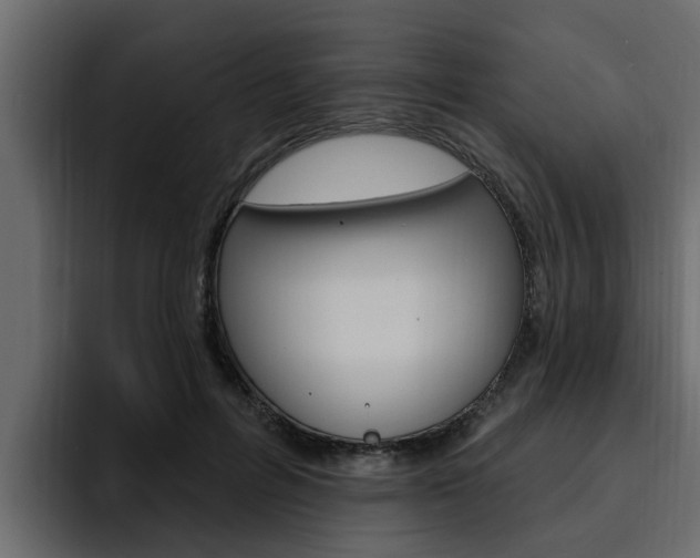 X0000095550600200712140937