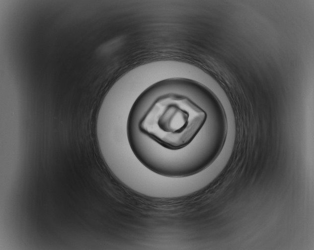 X0000095550601200712140937