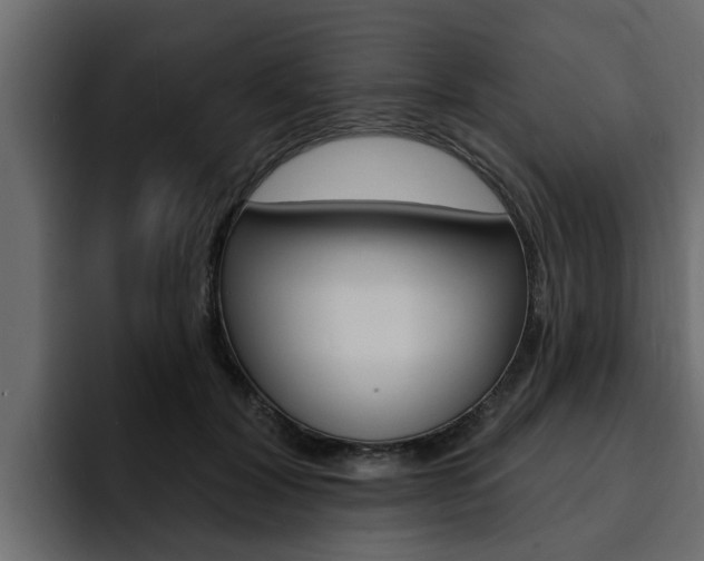 X0000095550604200712140937