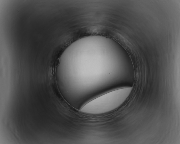 X0000095550605200712140937