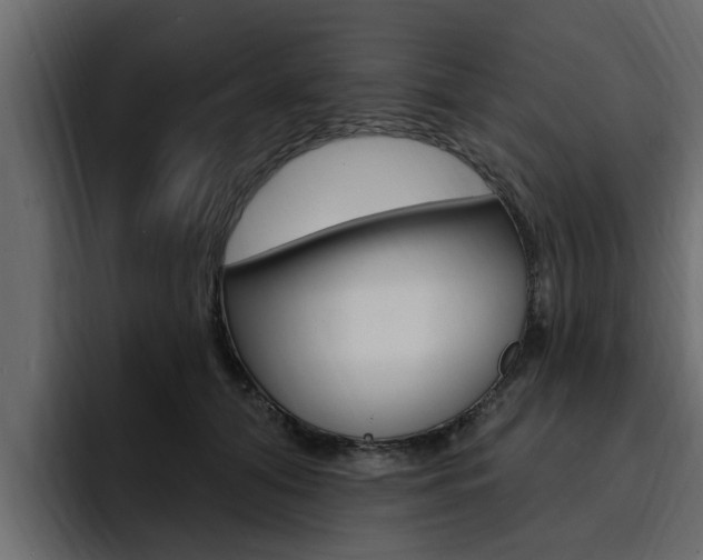 X0000095550608200712140937