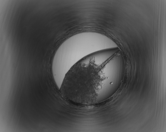 X0000095550609200712140937