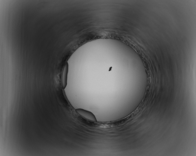 X0000095550611200712140937