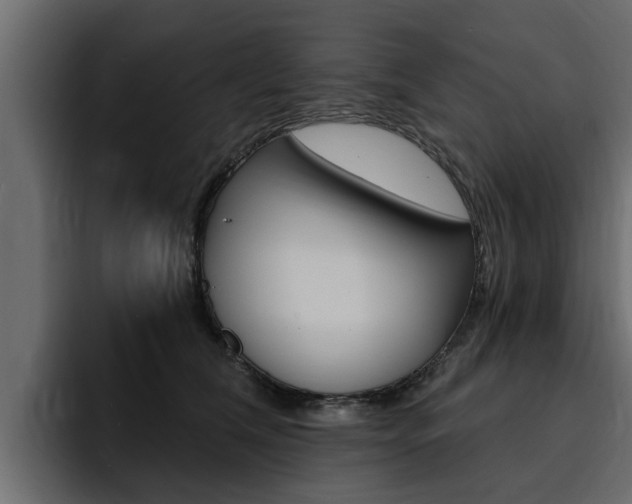 X0000095550612200712140937