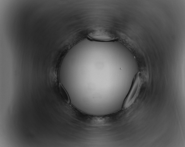 X0000095550613200712140937