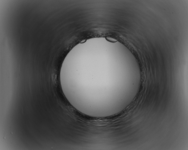 X0000095550615200712140937