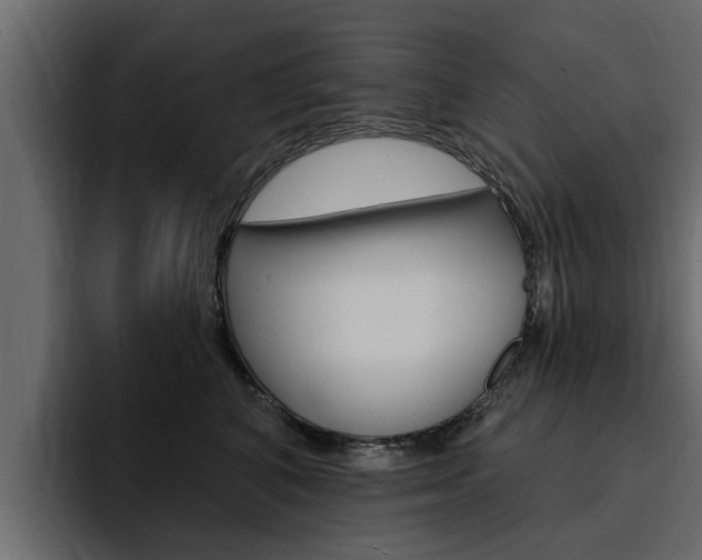 X0000095550616200712140937