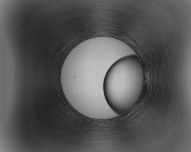X0000095550617200712140937