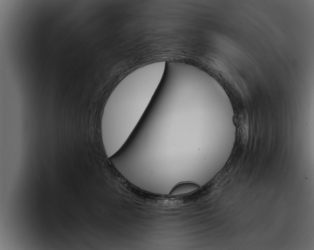 X0000095550619200712140937