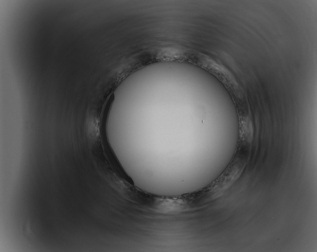 X0000095550621200712140936